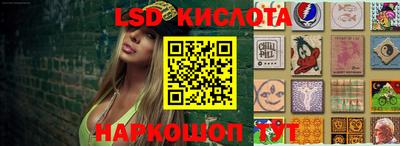 тгк Кингисепп