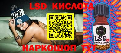 a pvp Камышлов