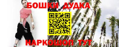 крисы Кинель