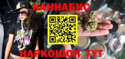 a pvp Камышлов