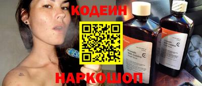 a pvp Камышлов