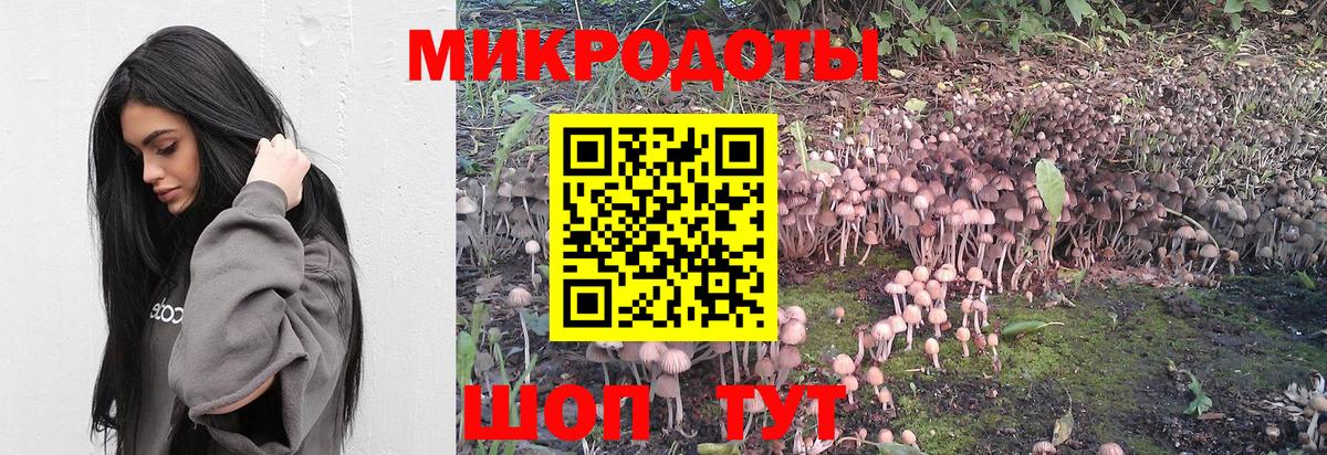 Псилоцибиновые грибы GOLDEN TEACHER Краснодар
