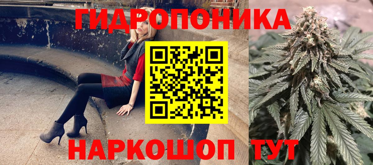 Канабис OG Kush Краснодар